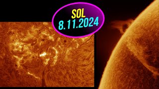 Sol 8 Noviembre 2024 [upl. by Anallise910]