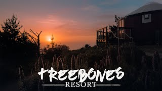 Treebones Resort in Big Sur California  Our Experience Glamping in a Yurt [upl. by Grefe]