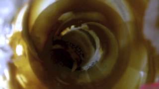 Dog licks peanut butter jar with GoPro inside [upl. by Ardnaxila771]