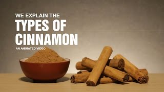 Types of Cinnamon [upl. by Tristan]