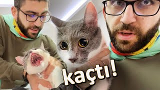 GENÇ KIZLIĞA VEDA 😂 parodi vlog [upl. by Hilaire]