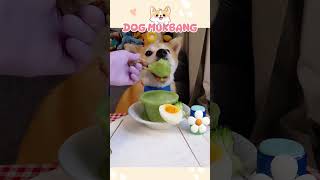 Dog Food Every Day 🐶 Ep15 cutedog mukbang asmr foodshorts relaxing [upl. by Clim]