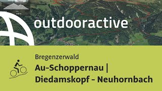 Mountainbiketour im Bregenzerwald AuSchoppernau  Diedamskopf  Neuhornbach [upl. by Kingdon699]