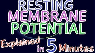 Resting Membrane Potential explained in 5 minutes Electrolyte levels K Na Cl [upl. by Tur]