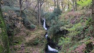 Wicklow Mountains National Park hiking to the Poulanass Waterfall Unedited [upl. by Rutra]