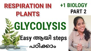 GLYCOLYSIS 1 BIOLOGY  NCERT SYLLABUS NEETMALAYALAM EXPLANATION [upl. by Cost]