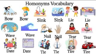 Homonyms Vocabulary Homonyms in English Common homonyms Words with Examples [upl. by Gunn209]