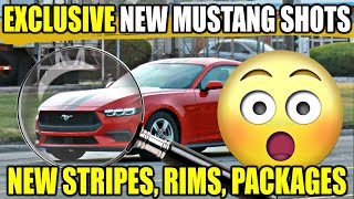 EXCLUSIVE New 2024 MUSTANG New Colors Stripes Rims Packages Captured [upl. by Carlisle384]