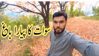 sawat ke Pyare dikhayenge🏞👌🏼⛰️🌴vlog vellalarka7868 viralvideo viralshort video vlog [upl. by Esekram314]