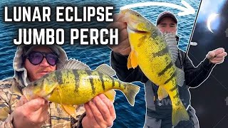 Lunar Eclipse JUMBO Perch Catch Clean Cuisine [upl. by Charbonnier]