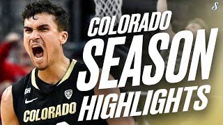 Tristan Da Silva FULL Colorado Season Highlights  2x AllPac 12  16 PPG 395 3P 493 FG [upl. by Oznarol]