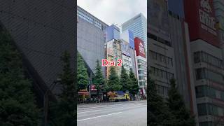 Dia2  Itinerario Japon  Edición Parques de Atracciones  Akihabara [upl. by Ramedlab361]