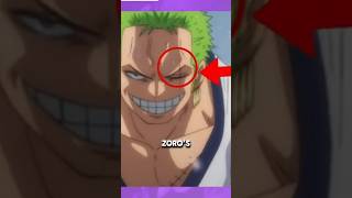 The Truth About Zoros Mysterious Left Eye [upl. by Gage]