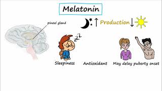 Z Drugs Melatonin Agonists amp Orexin Receptor Antagonists [upl. by Erdnaek]