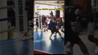 Naoya Inoue showing LEVELS in sparring session inoue boxingtraining sparring knockdown [upl. by Notsirb656]