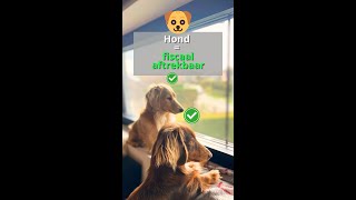 Je hond is fiscaal aftrekbaar [upl. by Sihun]