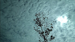 Cielo empedrado a los tres días mojado hemos escuchado en alguna ocasión el refrán [upl. by Shel961]