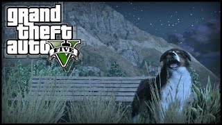 GTA 5 Next Gen  THREE Peyote Plant Locations 5 6 amp 7  quotPlay as Animalsquot 727 Peyote Plants [upl. by Urian]