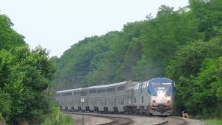 Amtrak Train Hits Deer [upl. by Zosi41]