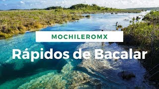 Los Rápidos de Bacalar  Uno de los dos lugares en México con estromatolitos vivos [upl. by Oigaib]