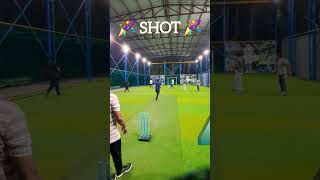 ashesturfcricket cricket turf cricketlover status statusvideo fours shorts originalaudio [upl. by Zins]