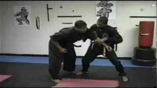 Ninjutsu and use of the Kubotan [upl. by Bonn]