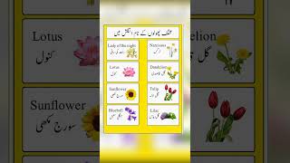 Common Plants and Their English Names  Pholon Ke Naam in English [upl. by Hpsoj]