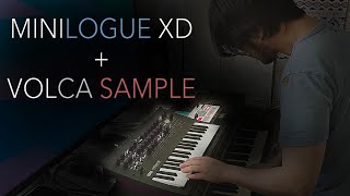 Minilogue XD amp Volca Sample Combo Test 1 [upl. by Zetrom838]