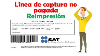 Reimpresión de Linea de Captura Vencida  SAT 2024 [upl. by Alekim]