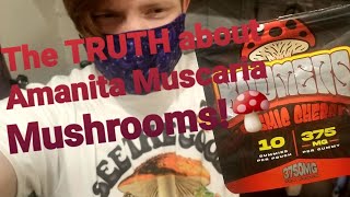 The TRUTH about the Amanita Muscaria Mushroom CRAZE Its not what you think [upl. by Einafets]