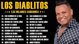 Los Diablitos  Colección de las Mejores Canciones  Concierto Vallenato Clásico [upl. by Pollyanna]