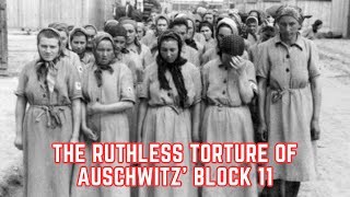 The RUTHLESS Torture Of Auschwitz Block 11 [upl. by Mcconaghy976]