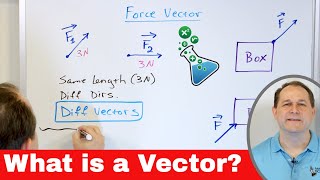 What is a Vector Definition amp Examples in Physics [upl. by Brantley895]