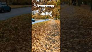 Autumn 🍂 in Poznan Poland 2024 arfaamajd autumn europe youtubeshorts viralvideo [upl. by Eiramlatsyrc]