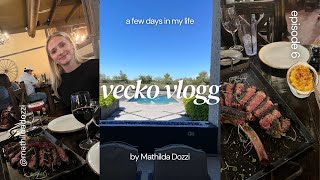 VECKO VLOGG  plugg mini shopping middag failad tiktok [upl. by Nnylhtak]