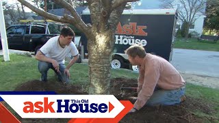 How to Mulch a Garden Bed  Ask This Old House [upl. by Macri]