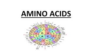 AMINO ACIDS  IMPORTANT FACTS ABOUT AMINO ACIDS  IMPORTANT TOPICS FOR BIOCHEMISTRY [upl. by Cut]