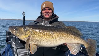 Sniping Giant Green Bay Walleyes With Livescope 30 incher and 60 Fish Day [upl. by Parish]