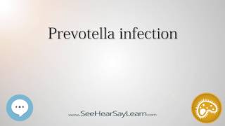 Prevotella infection 🔊 [upl. by Wellesley275]