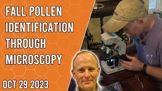 Fall Pollen Identification through Microscopy  Jacksonville FL Zone 9a [upl. by Ellenad399]