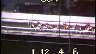 1984 Meadowlands Pace  On The Road Again amp Buddy Gilmour [upl. by Towne175]