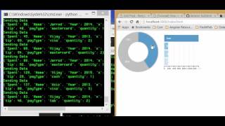 Tutorial Real Time Data Visualization  d3 crossfilter websockets in Python by Example [upl. by Chappie]