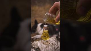 Great oil lamp diy outdoors bushcraft survival [upl. by Ihcelek]