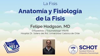 Anatomía y Fisiología de la Fisis [upl. by Atteuqahs]