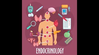 Endokrinologie  Fachbegriffe  Dr Ahmed Solyman [upl. by Galan137]