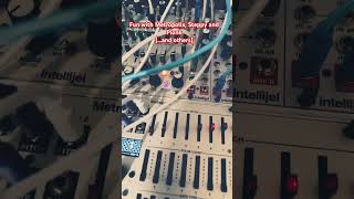 Fun jam with intellijel magics  Metropolix Plonk DixieII Sealegs Steppy modularjam [upl. by Soane]