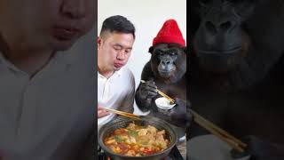 Handsome guy and orangutan eat hot pot together [upl. by Ardnek]