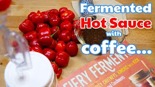 Fermented Coffee Hot Sauce [upl. by Yentyrb]