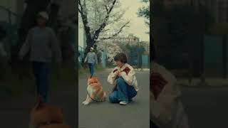 あいつの犬 〜ポン太Ver〜ドッグランでナンパしたポン太🐕めっちゃくちゃ可愛い。歌詞通り全然懐いてなくておもろいし、歌詞に合わせてちゃんと動いてて天才あいつの犬 松本千夏 柴犬 dog [upl. by Atinahc436]