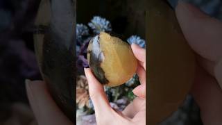 ✨️🌼Beautiful Septarian Palm Stone🌼✨️ crystals septarian smallbusiness gemstones zodiac [upl. by Hourigan]